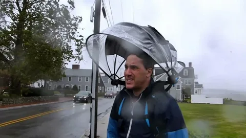 Nubrella Shark Tank